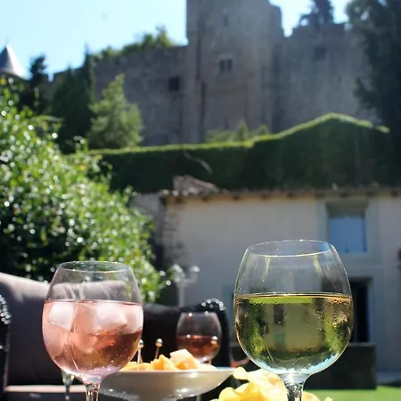 Hébergement de vacances Le Petit Chai Niché Sous La Cité, *