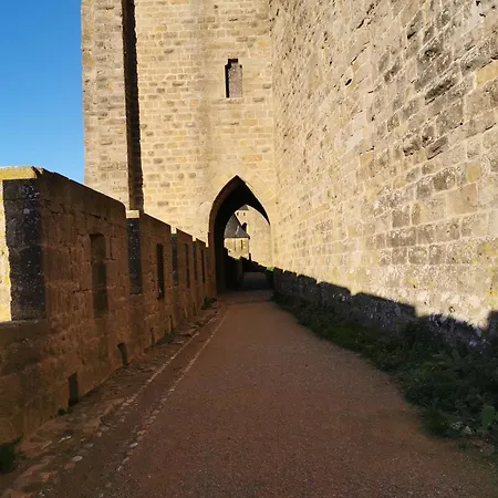 Le Petit Chai Niché Sous La Cité, *