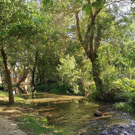 Le Petit Chai Niché Sous La Cité, Hébergement de vacances *
