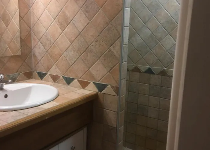 Le Petit Chai Niche Sous La Cite, * 卡尔卡松