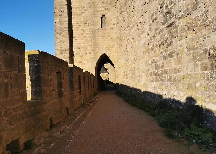 Le Petit Chai Niche Sous La Cite, *