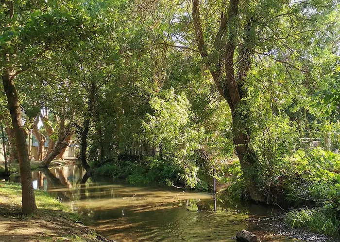 Le Petit Chai Niche Sous La Cite, Дом отдыха *